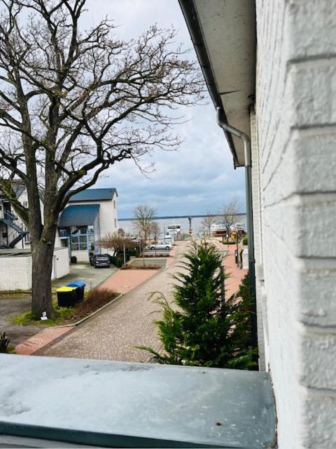 Maris Hotel Steinhude Exterior foto